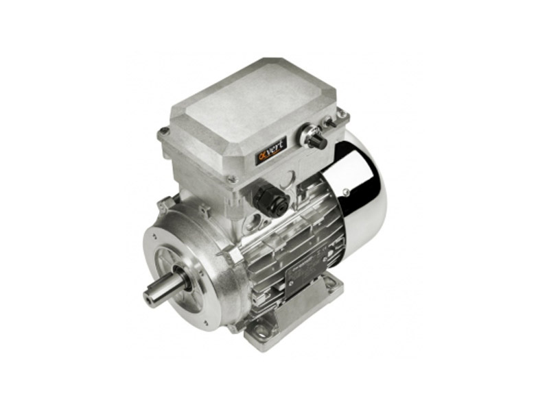 Fornitura Motori elettrici con inverter serie Alfavert - Relintek SAS
