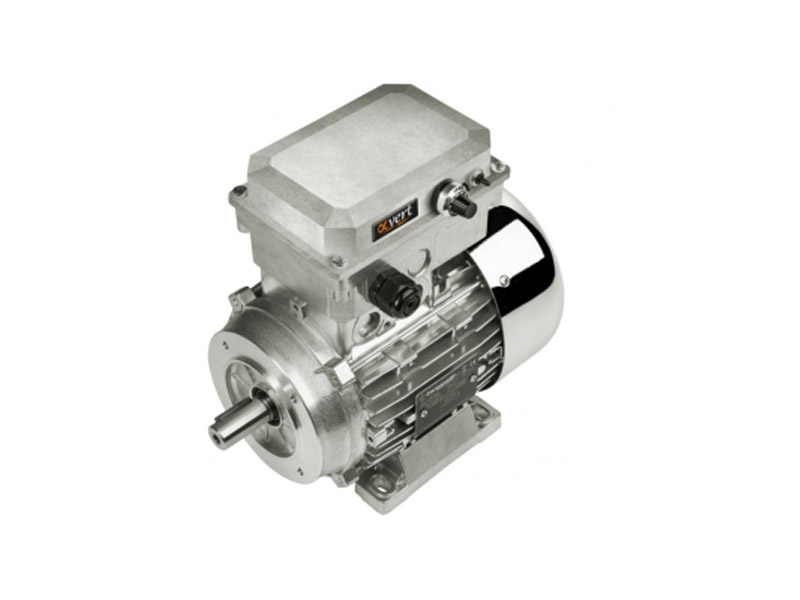 Motori elettrici con inverter serie Alfavert - Relintek